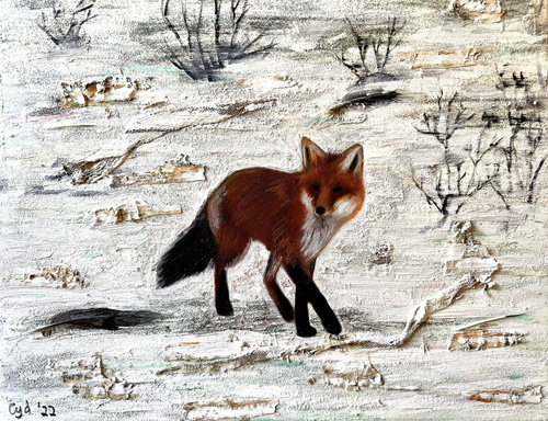 Snow Fox