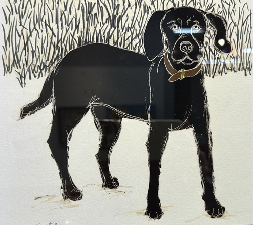Black Dog
