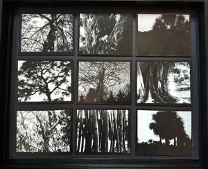 Treescapes